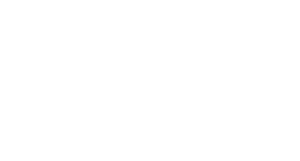 RAI Holdings Logo